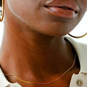 Simple Snake Bone Chain